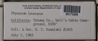 Image Associated With the Occurence